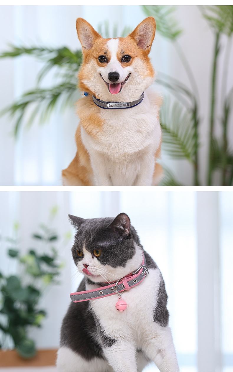 狗狗刻字项圈猫咪铃铛颈圈小型犬吊牌小狗圈猫牌狗牌定制宠物用品粉色