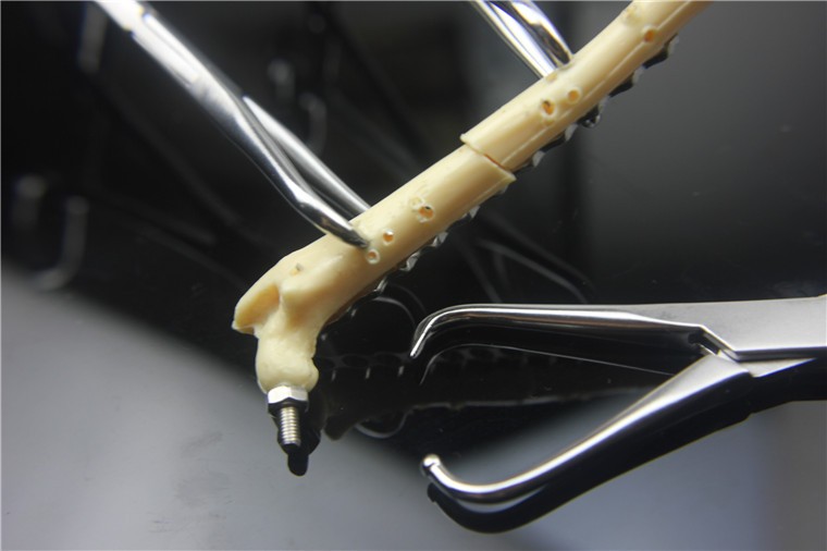 小动物骨科手术器械医用球头点状压接骨板复位钳尖头圆头复位器宠物