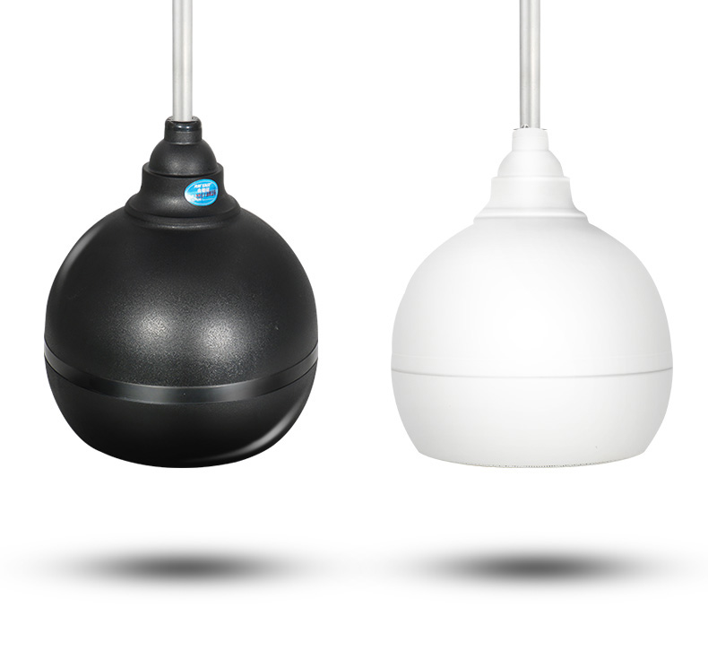 sast/先科 s6-1吊球音响套装超市服装奶茶店悬挂式店铺餐厅音箱天花