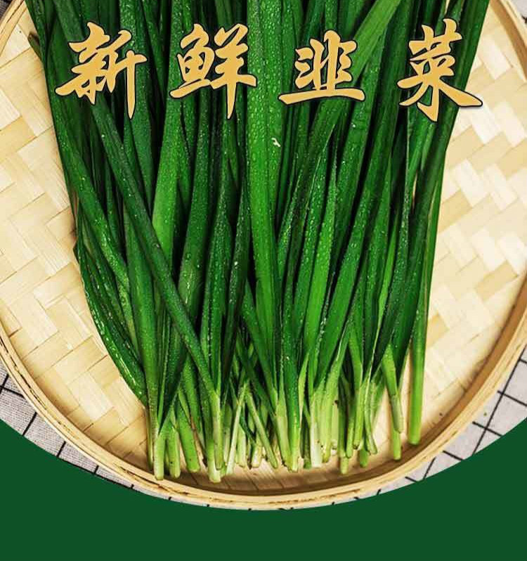 寿光新鲜韭菜农家新鲜嫩韭菜头茬露天农家种植韭菜时令蔬菜5斤装