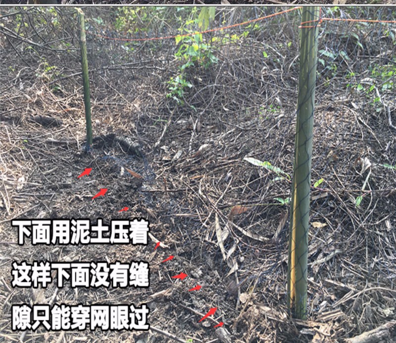 捕蛇网户外尼龙网蛇袋子防蛇网 蛇笼子蛇袋子笼子蛇蛇网袋尼龙蛇网 20