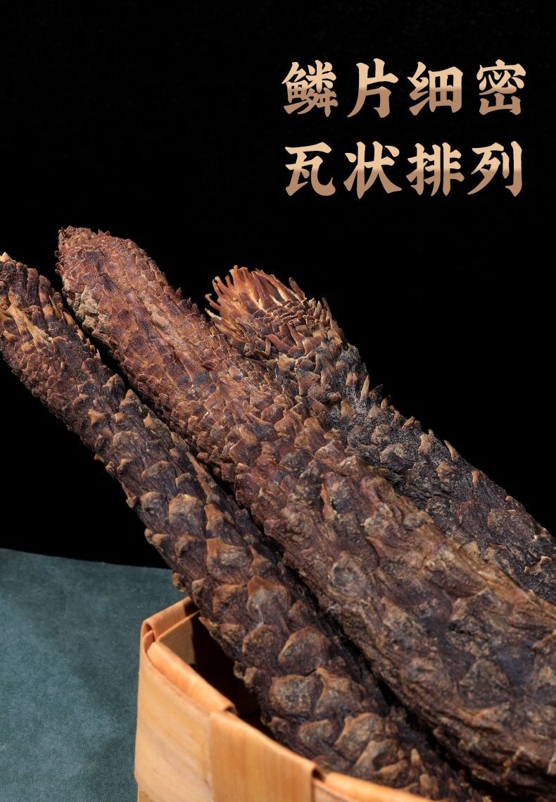 伟博肉苁蓉阿拉善肉苁蓉内蒙古油苁蓉软大芸锁阳男性滋补泡茶泡酒料嘉