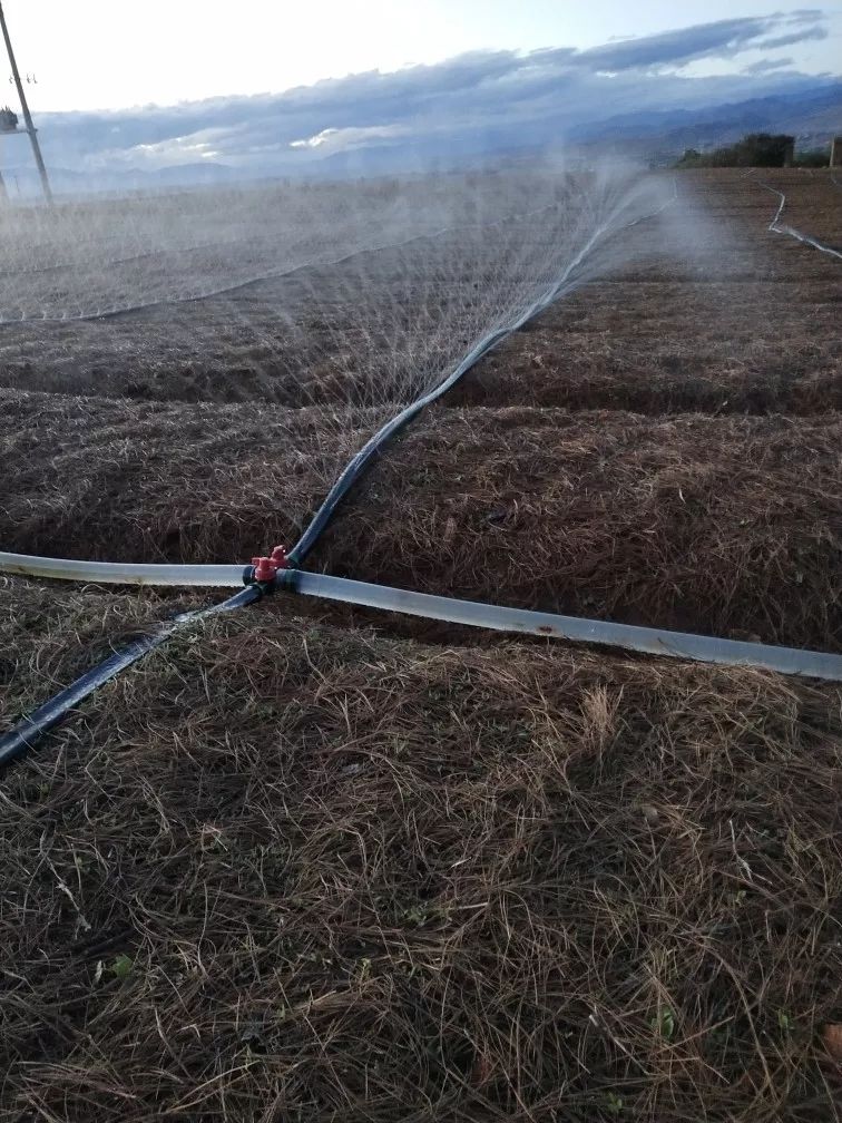 农用滴灌带微喷带喷水带喷灌带雾化带灌溉滴灌12寸 6分斜3孔200米