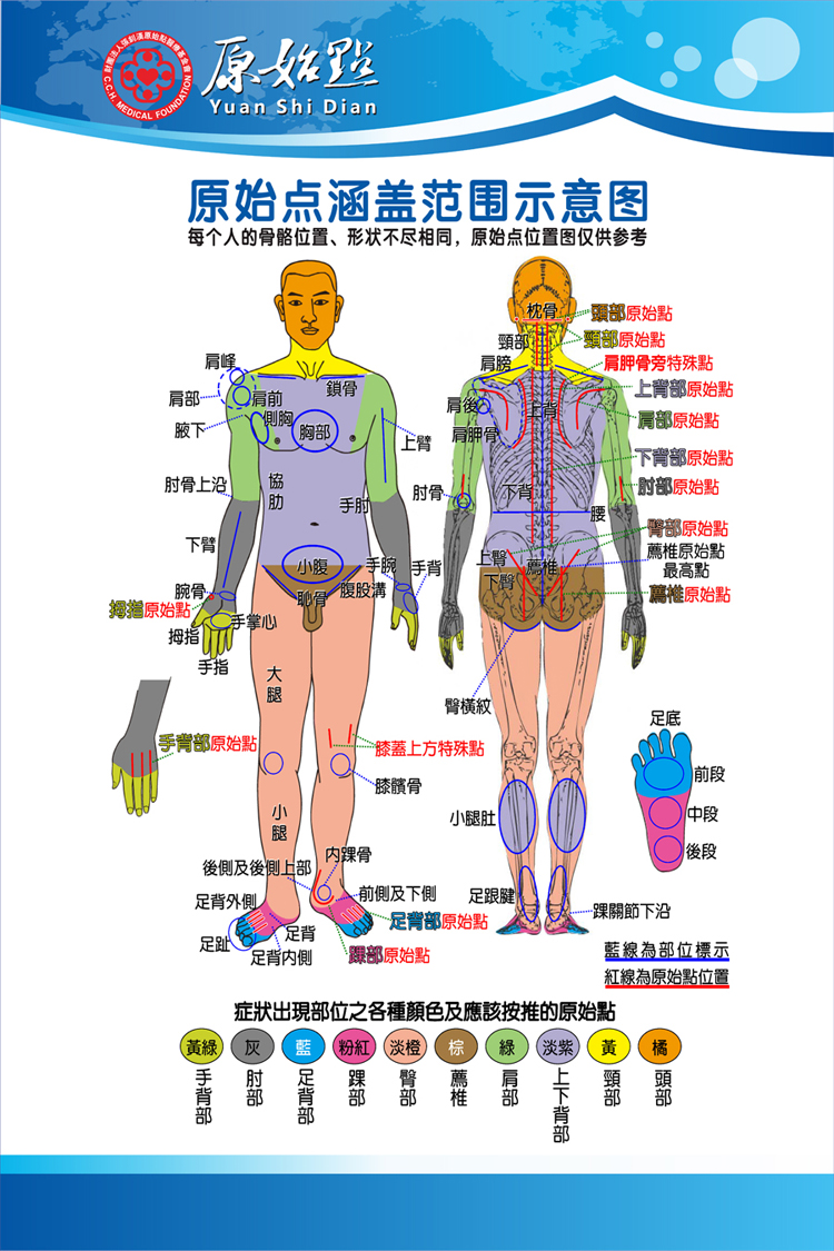 原始点涵盖范围示意图 中医养生馆推拿按摩海报穴位图挂图 ysd-1 相纸