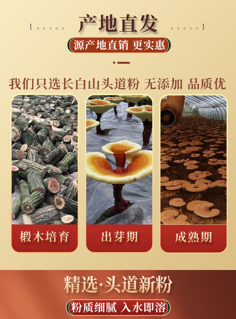 伟博【优选】长白山头道灵芝孢子粉500g特级椴木林芝袍子粉 500g(发2