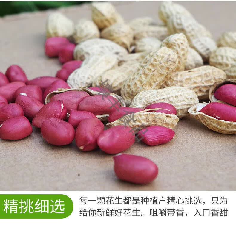 自种二粒红皮晒干粉皮薄皮两粒生新货 生2粒带壳红皮生花生-5斤【图片