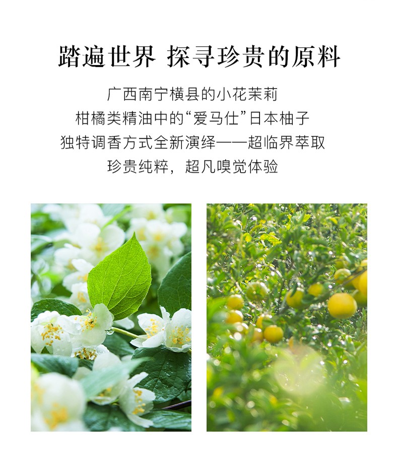 冰希黎（Boitown）香水女士香水礼盒沙龙香水清新淡香持久生日圣诞节礼物送女友 梨木桂花-30ML
