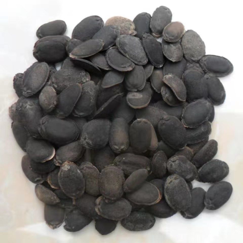 中药材丝瓜子新货 丝瓜籽 黑丝瓜子 生丝瓜子 丝瓜籽多规格 丝瓜子500