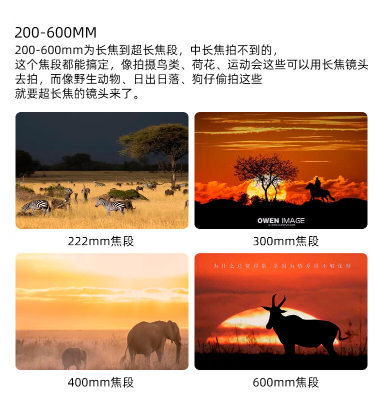 501207c6fcc52daf.jpg