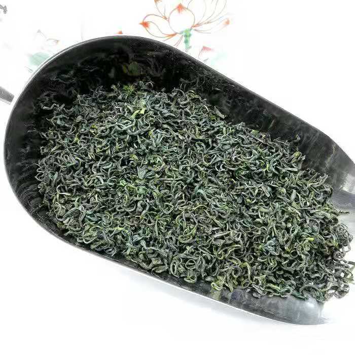 2021青岛崂山-绿茶 甘枣叶茶芊罗崂山道家仙茶 绿茶养生茶 500g【图片