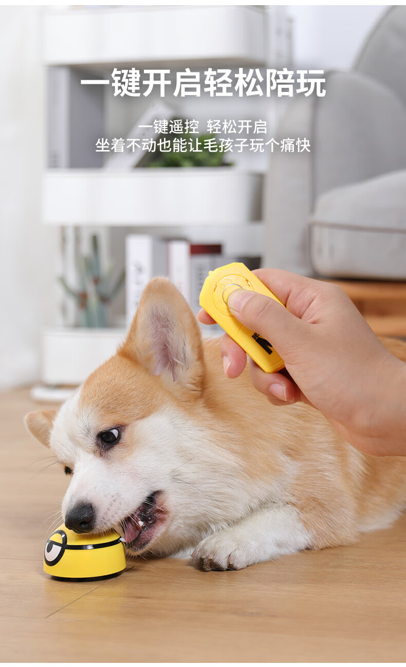 小狗幼犬玩具狗狗玩具猫解闷逗狗神器小狗耐咬磨牙电动发声小型犬柯基