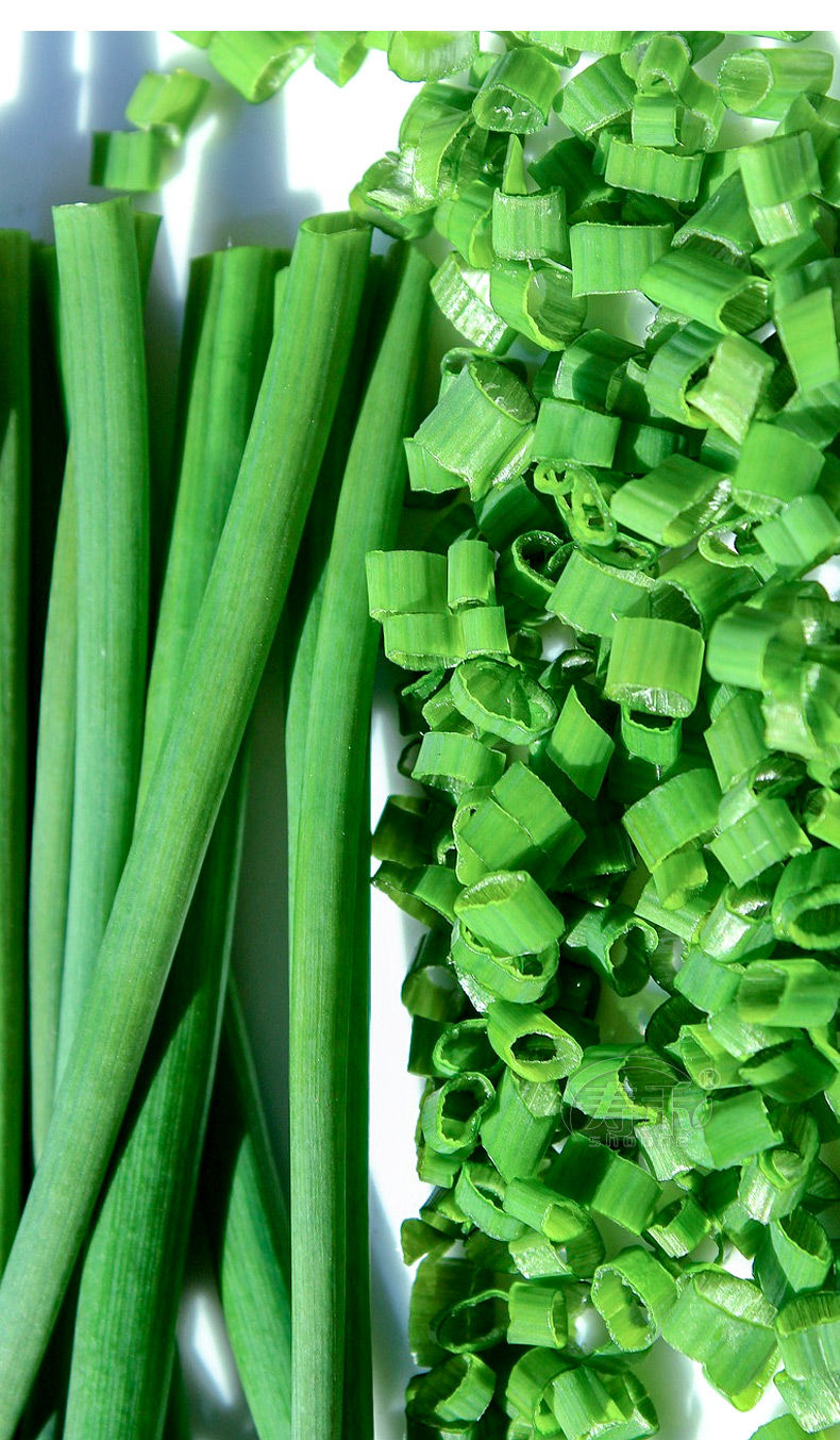 小香葱籽种子四季易种小葱种子阳台室内盆栽葱种子批发家庭菜种子四季