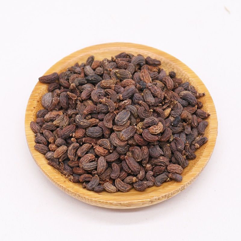 中药材女贞子冬青籽 冬青子 精选女贞子泡酒煲汤 500g精选女贞子