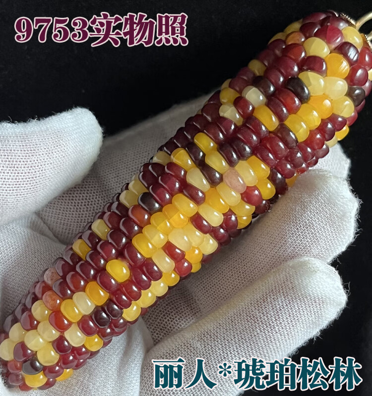 d01c9df972978302.jpg