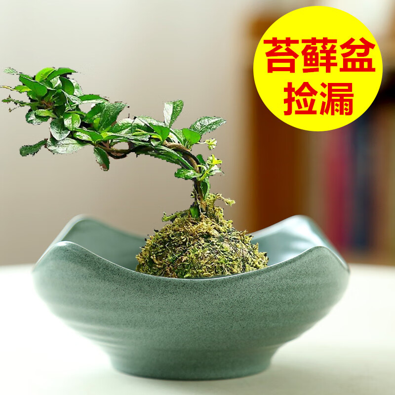 a45d312bf89c153d.jpg