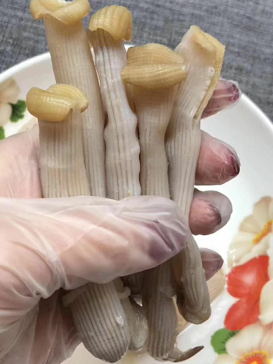 野生中沙虫干海肠沙肠子海人参海虫干货海鲜海产广东煲汤材料50g官方