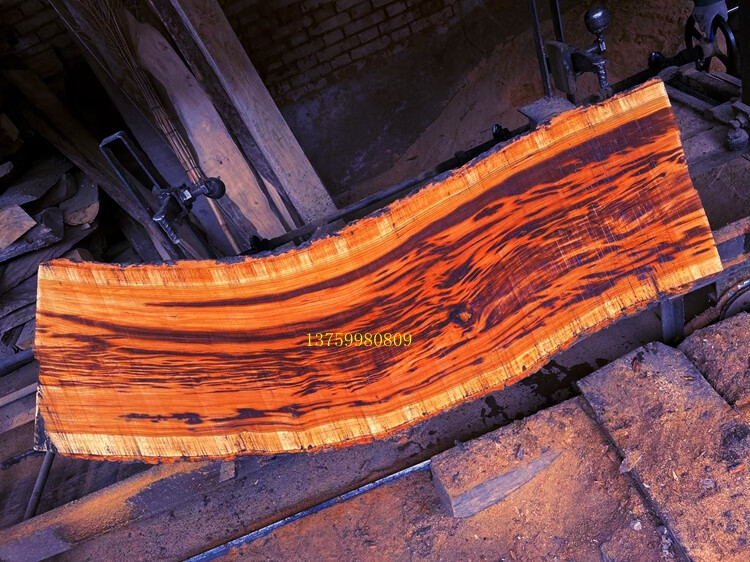 陕西秦岭的珍稀木材图片