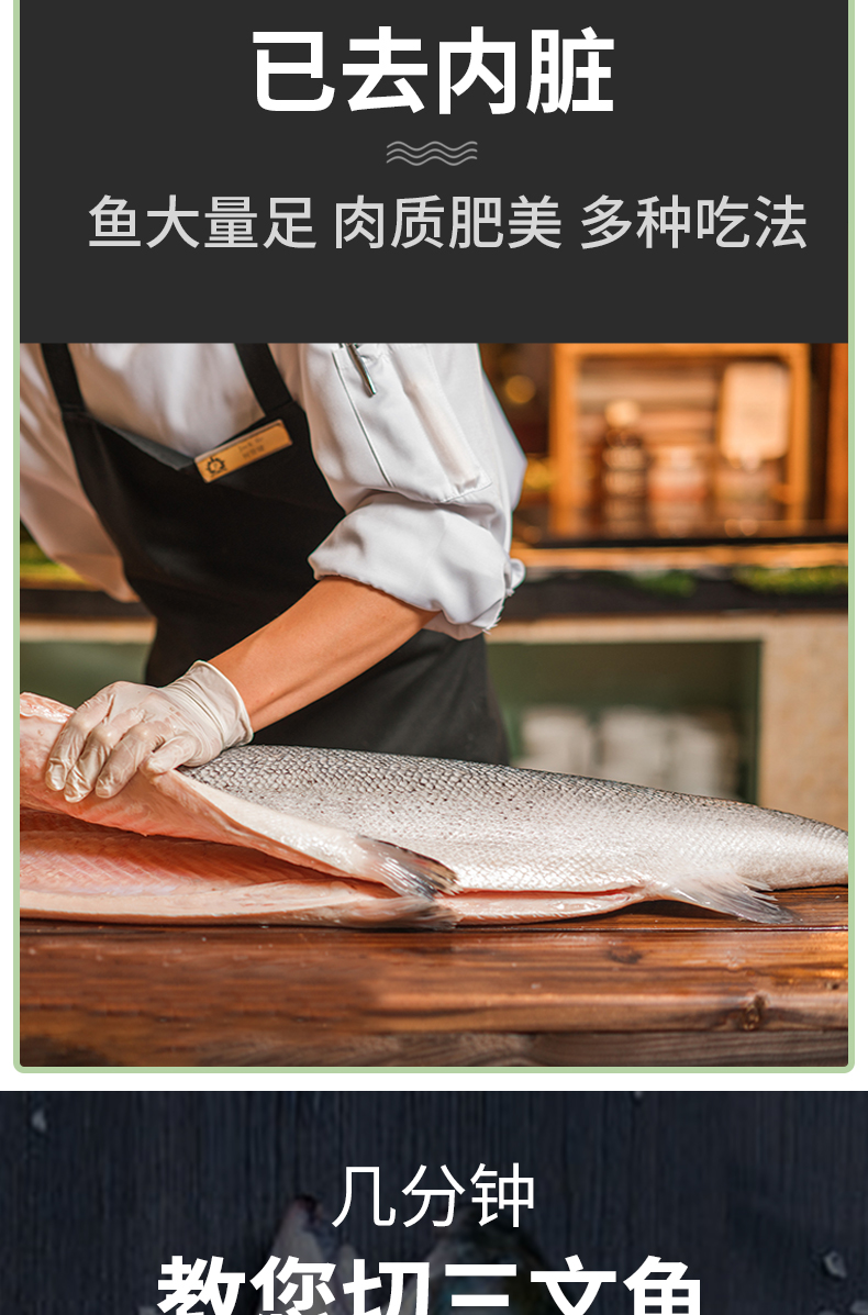 速鲜智利新鲜冷冻三文鱼整条650kg大西洋鲑鱼整只非刺身即食