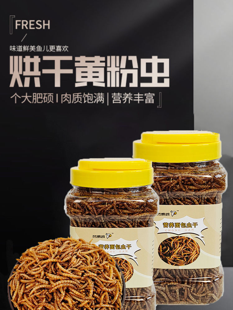 烘干黄粉虫高蛋白虫干面包虫干仓鼠零食粮食乌龟主粮饲料刺猬食物