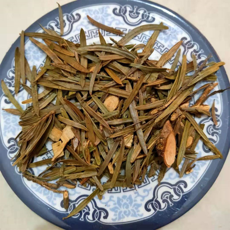 红豆杉叶中药材含紫杉醇百年西藏树叶500g克另有树皮皮红豆杉叶250克