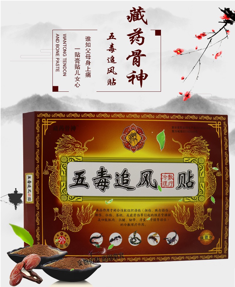 藏药骨神 五毒追风贴 冷敷理疗 6贴装 腰椎间盘腰间盘突出膏贴 1盒