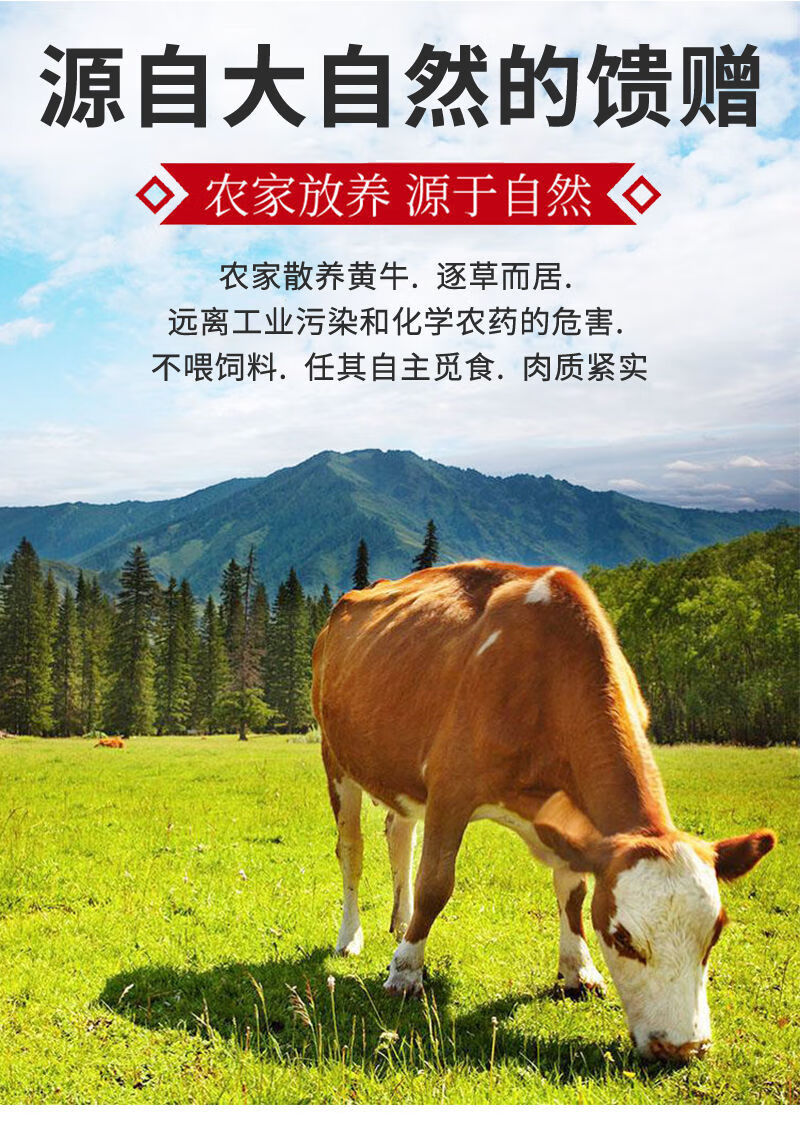 新鲜精选牛肉拆骨肉冷冻全熟剔骨肉真空包装正宗黄牛肉批现煮现发4斤