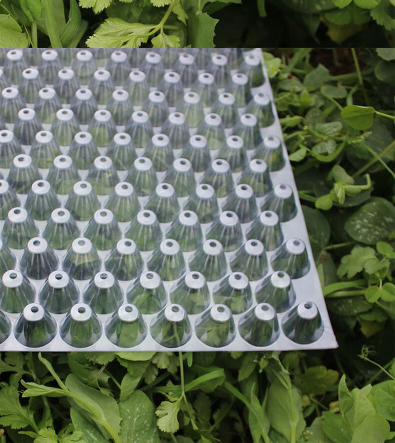 手抛育秧盘水稻人工抛秧晚稻育苗盘塑料抛秧434孔353孔561孔润景 新料