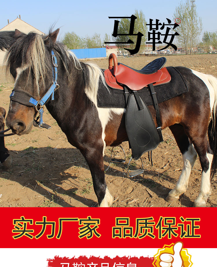 宝利嘉bolikia马鞍子全套马具牛皮游客鞍大小矮马鞍具马术用品全新