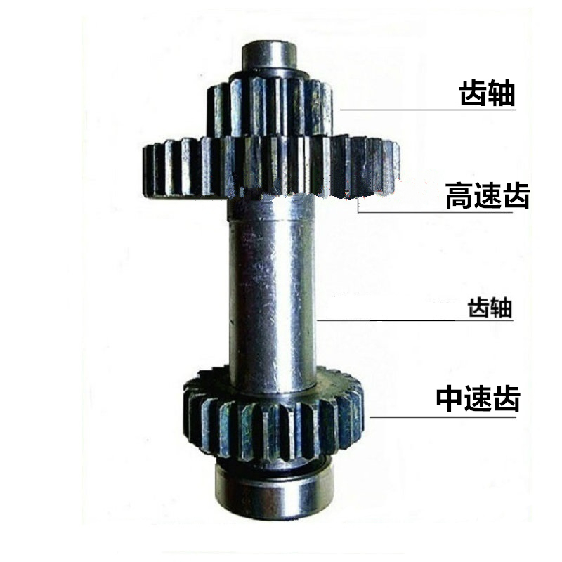 力丰b20b25b30搅拌机和面打蛋机配件中速高速齿减速齿轮s1s7配件中数