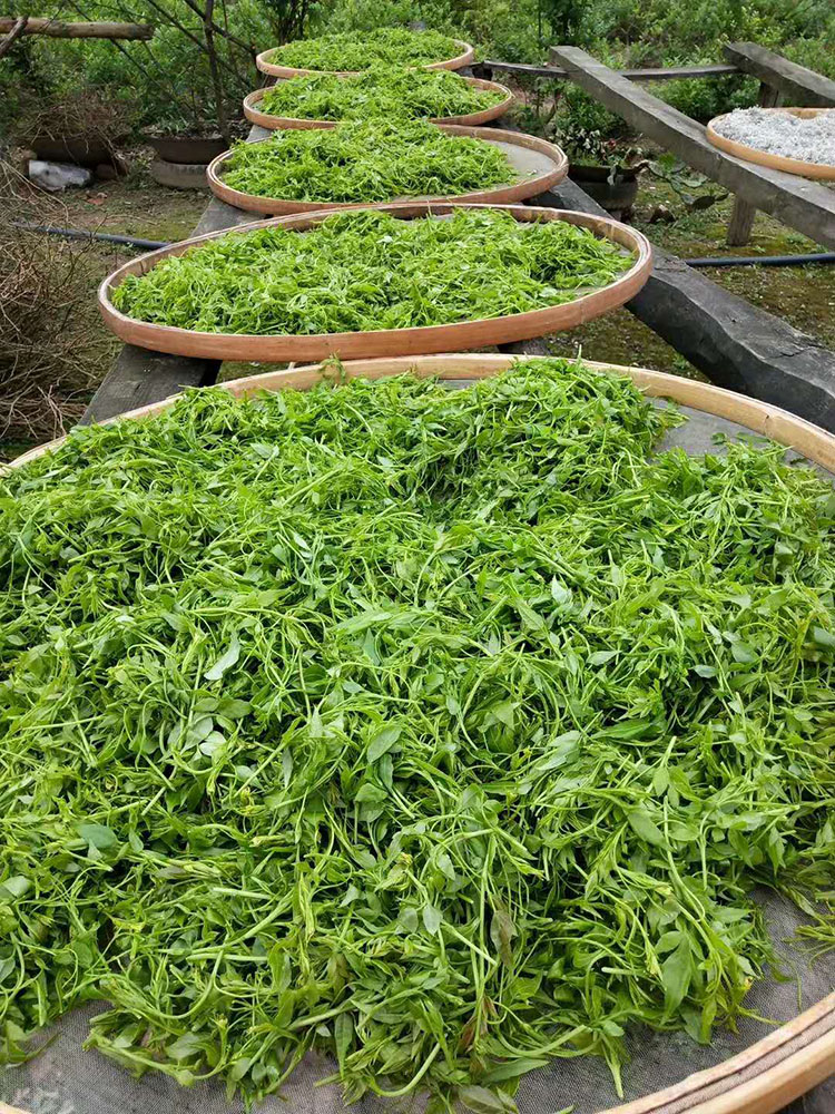 张家界野生莓茶藤茶500g茶霉茶藤特级龙须牙尖咽喉