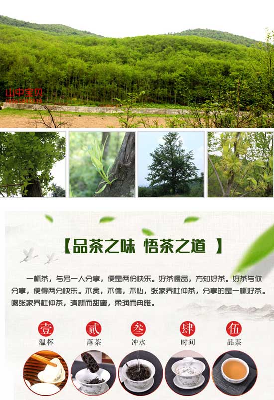 杜仲茶张家界特产野生嫩叶杜仲叶赠泡茶壶养生流脂茶非l杜l仲雄l花茶