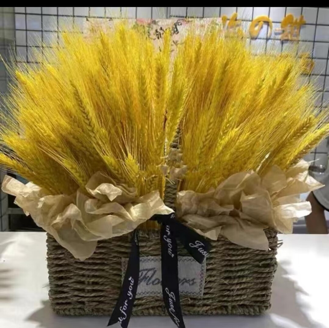 天然麦穗开业花篮黄色真花客厅田园装饰摆件干花插花拍摄道具迷你屋