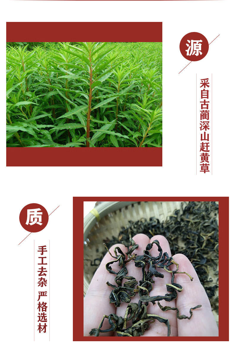 赶黄草 赶黄草叶 中草 四川古蔺赶黄草 赶黄茶 赶黄草 100g【图片