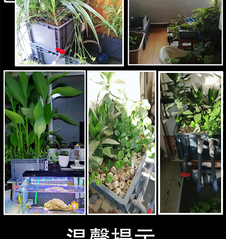 可开票沼泽过滤器水族周转箱盒龟缸植物生态缸大型小型外置三合一净化