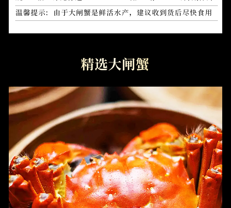 活蟹蟹礼沱湖螃蟹五河淡水螃蟹鲜活大闸蟹礼盒精品湖蟹礼品装2两纯母