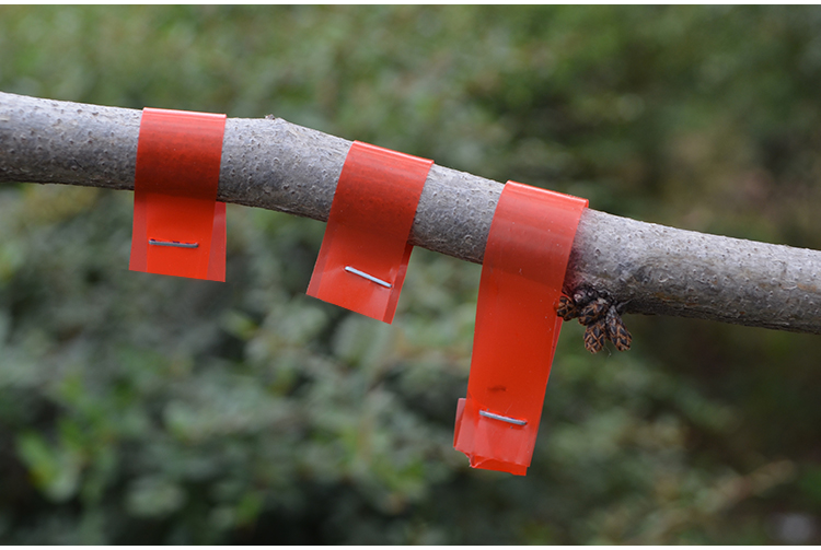 baoyuan绑枝器黄瓜西红柿葡萄番茄绑枝机胶带钉子绑架器绑蔓机绑扎机