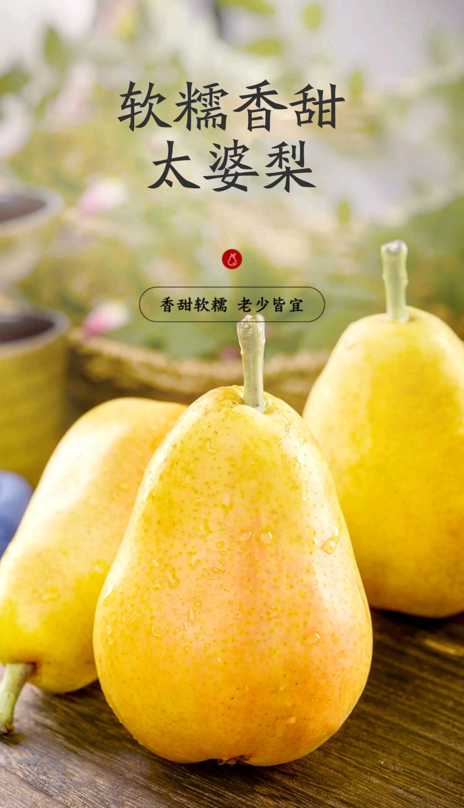 萃俪太婆梨子鸭广梨新鲜水果软梨大头梨可刮泥软糯香甜可口孕妇水果