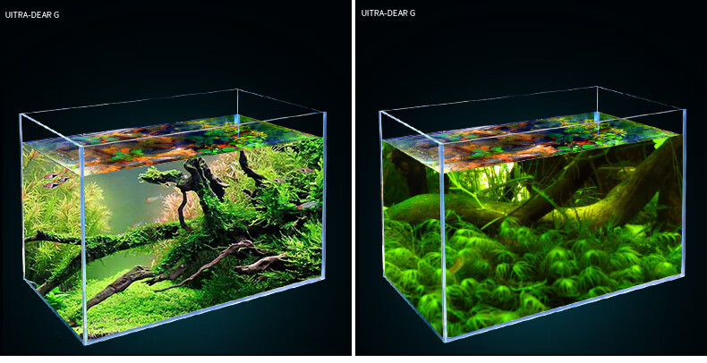金晶超白玻璃鱼缸定制长方形裸缸客厅造景草缸乌龟 60*45*45 8mm顺丰