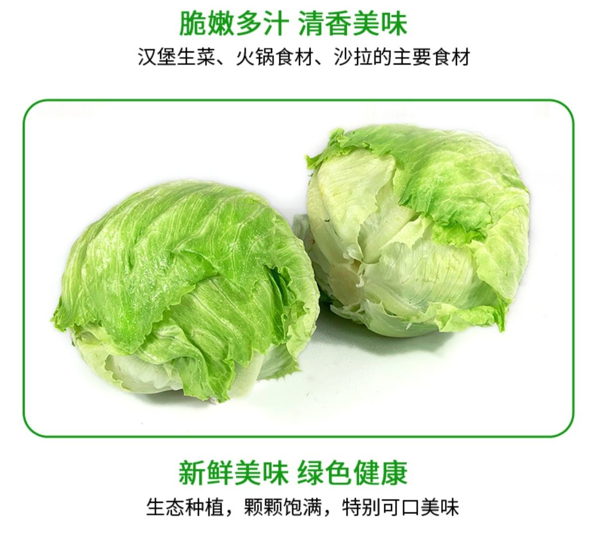 新鮮球生菜漢堡火鍋用圓生菜西生菜西餐沙拉色拉蔬菜健身食材20斤裝