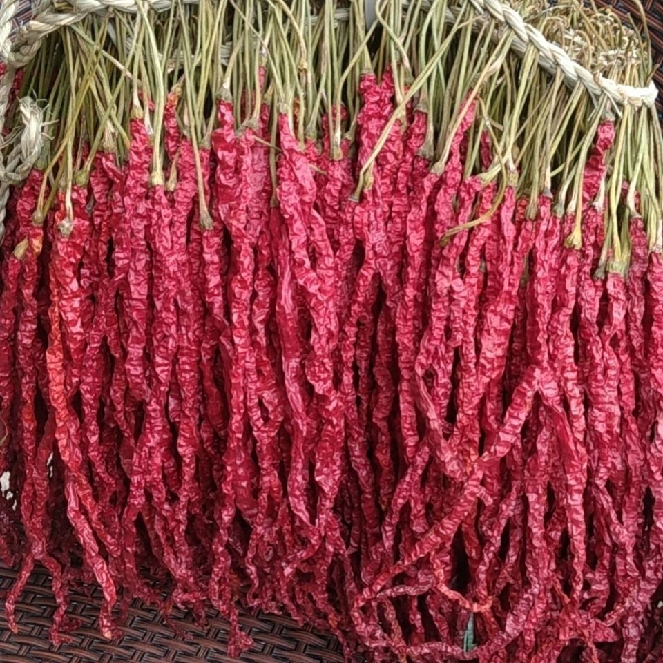 贵州毕节大方特产皱椒又名鸡爪辣香辣可口贵州大方特产辣椒 长扎500g