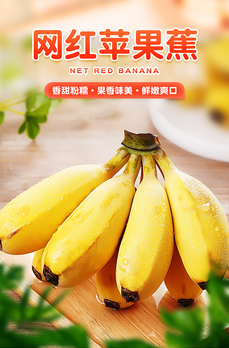 (现货现发)漳州天宝苹果蕉小米蕉 自然熟精选果 孕妇宝宝辅食 9斤精选