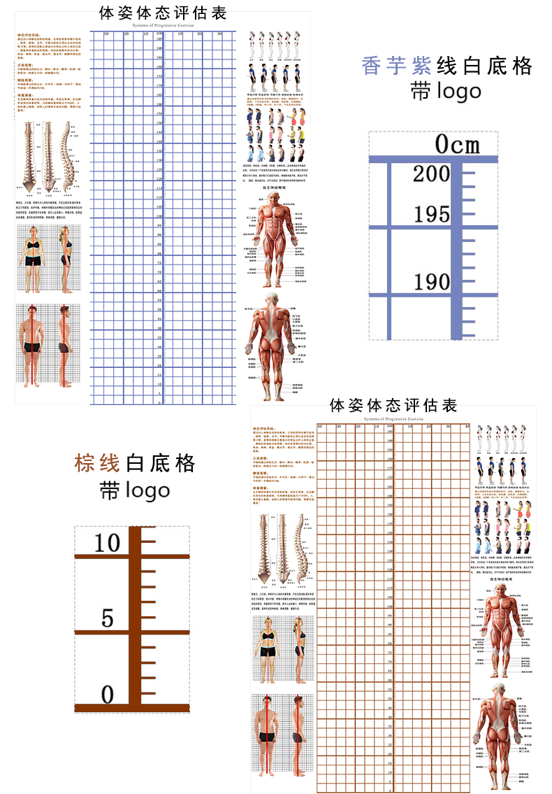 现货体态评估图瑜伽 体姿体态评估系统中医理疗馆脊椎姿势对比图 黑宽