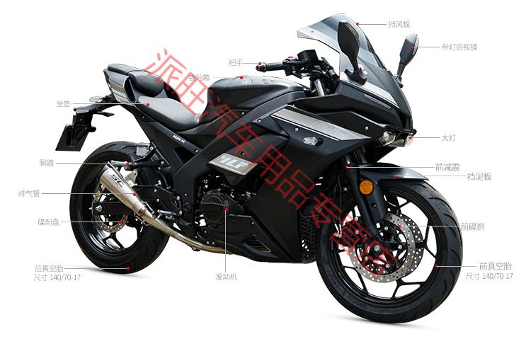 定制宝雕r1m摩托车跑车国四电喷200cc500cc双缸水冷r6大型街跑车趴赛