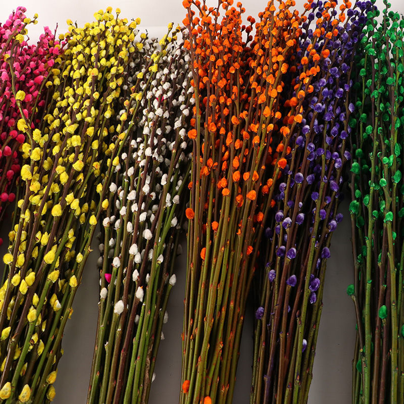 轻奢soumiety银柳真花鲜枝年宵花卉银柳干花彩色柳枝耐寒水培花卉米高