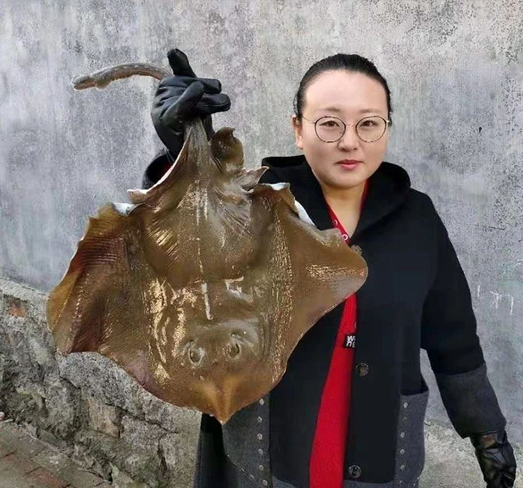 魔鬼鱼新鲜鲜活速冻老板鱼海鲜水果蔬菜去内脏2斤鱼剩16斤左右