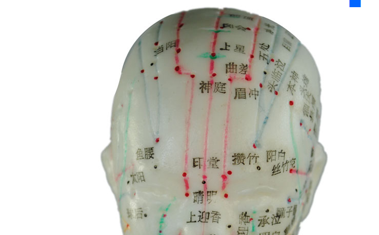 清晰经络通男女人体模型人体经络模型中医铜人针灸穴位模型 正洁男士