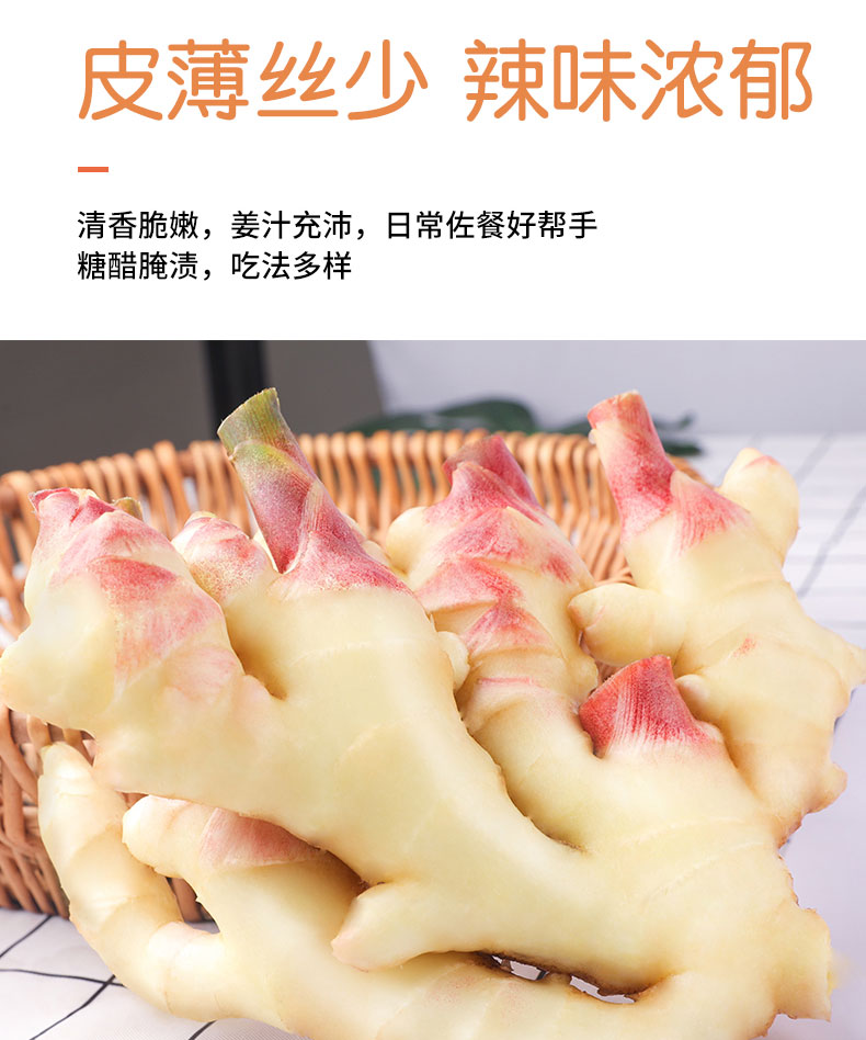 山东嫩姜新鲜子姜沙姜嫩生姜5斤鲜姜现挖仔姜小黄姜汁蔬菜老1500g