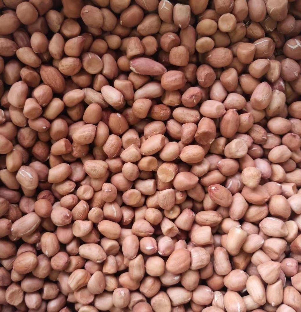 哺食旺21优质白沙花生米特价农家自产无农可以直接食用21优质小颗粒