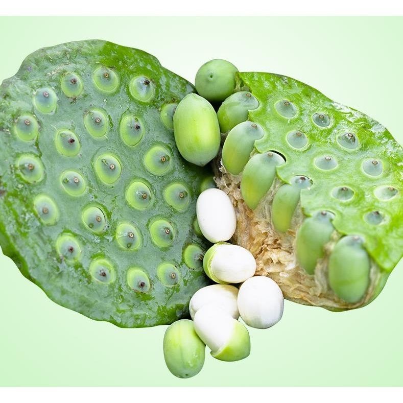 新鲜莲蓬现采现发 生吃水果莲蓬莲子米 安徽芜湖发货 3斤青莲子(无