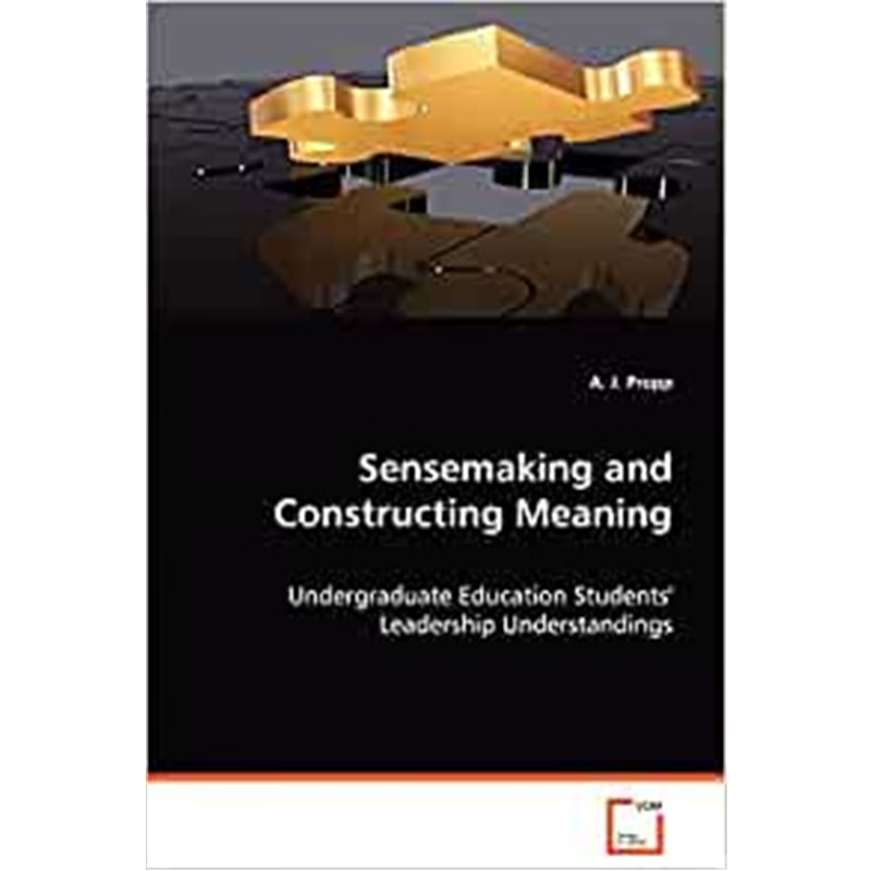 按需印刷Sensemaking and Construction Meaning[9783836463744]